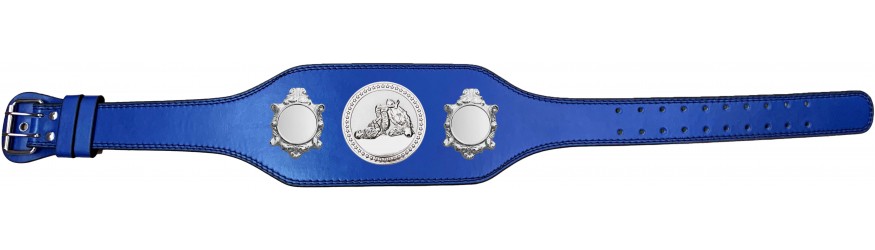 JIU JITSU CHAMPIONSHIP BELTS-BUD003/S/JJS-4 COLOURS